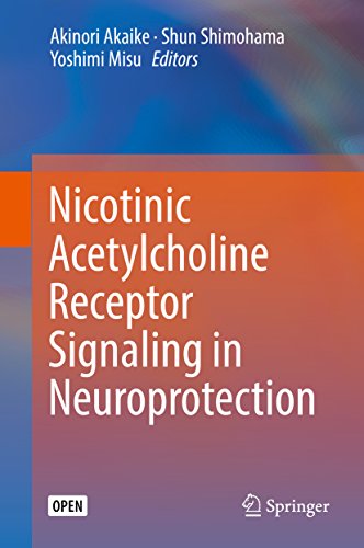 Nicotinic Acetylcholine Receptor Signaling in Neuroprotection (English Edition)
