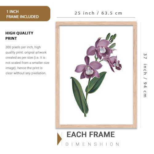 Image of kotart Floral Wall Art Home Decoration | Aesthetic Paintings With Frame For Living Room Bed Room Hotel Wall Decor Digital Reprint Set of 3 (35x37 Inch)