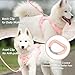 Sunraymascota No Pull Dog Harness, Puppy Vest with Front Clip for Small Medium Large Sized Dog(Light Pink,L)