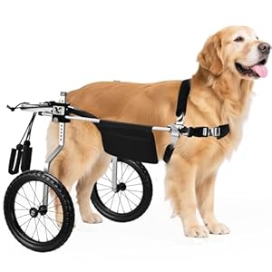 All-Terrain Dog Wheelchair for Back Legs – Lightweight & Adjustable for Medium to Large Dogs – Easy to Assemble Mobility Aid