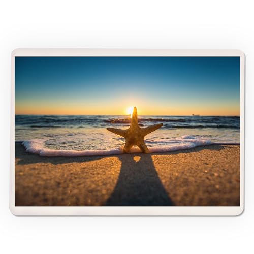 Lantern Press Naipes Póker Starfish Beach 52 Cartas miniatura 3