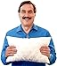 MyPillow Multi-Use Travel Pillow Compact Pillow for On-The-Go Comfort and Sleeping, Portable, Compact, Washable Pillow for Adult and Kids Neck Support [Blue Sage]