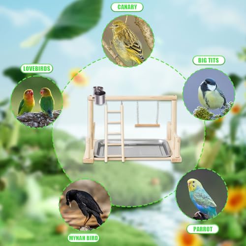 Image of Bird Playground, Natural Wood Bird Perch Stand with Removable Tray and 2 Stainless Steel Feeder Cups, Parrot Playstand Bird Cage Toys for Conure Parakeet Cockatiel Parrot (B)