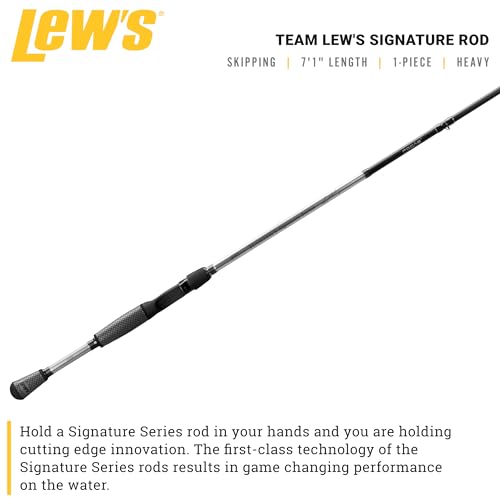 Lew's Team Lew's Signature Series Casting Fishing Rod, Graphite Blank, Winn Dri-Tac Ultra Split Grip Handle, Silver