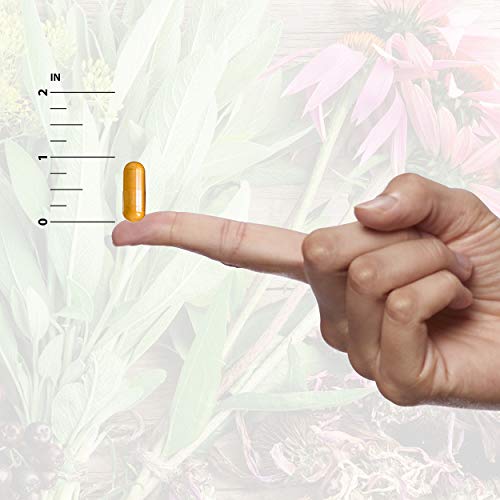 Nature's Answer Echinacea & Goldenseal | Dietary Supplement | Supports A Healthy Immune System | Non-Gmo & Kosher Certified | Vegetarian/Vegan Capsules 90Ct #TOP5