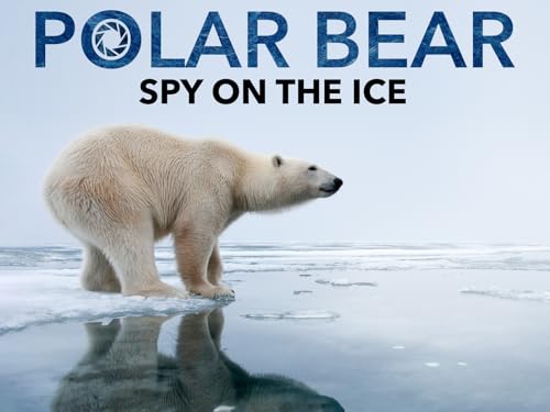 Polar Bear: Spy on the Ice