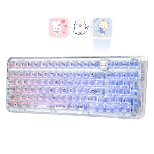 Amazon | CoolKiller CK98 透明メカニカルキーボード OLEDディスプレイ