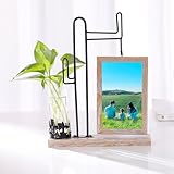 Este hermoso marco rectangular cuenta con un diseño de cactus de doble cara que lo convierte en una pieza única de decoración. Este marco de fotos también es un regalo que traerá alegría a todos desde el corazón.