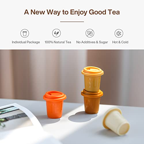 Saturnbird Express Tea, 4 Flavors, Premium Instant Tea Powder, Rooibos/Fuliang Black Tea/Oolong Tea/Yuanyang Coffee Tea Drink, Cold Brew Tea, Freeze-Drying Tech, Ice/Hot Water/Milk, No Additives, Variety Pack (4 Packs, 48 Count Total) #TOP1