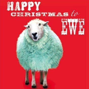 Pack of 10 WaterAid Charity Christmas Cards - Winter Wooly Sheep