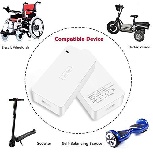 Koea Caricabatteria da 42V 1.5A Monociclo