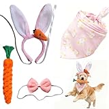 Hundekostüm Set 4-teilig für kleine und große Hunde, Karotte geflochten, rosa Halstuch mit Hasenohren, Verkleidung für Ostern, Fotoshooting, Geschenkidee