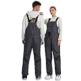 skilatzhose glanznylon 100% Polyester Wygwlg Essential Snow-Latzhose für Herren und Damen, Paar Winddichte wasserdichte Ski-Latzhose, Overall Siamesischer Skianzug (Color : Gris, Size : XL)