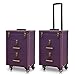 2/3 Tier Rolling Makeup Koffer Abschließbare Kosmetik Zug Fall Friseur Trolley Beauty Salon Gepäck Reise Künstler Tattoo Organizer Box Schiebeschubladen mit 4 Universalrädern,Lila,20in
