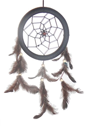 Peru Treasure Handmade Dream Catcher with Feathers Wall Hanging 12