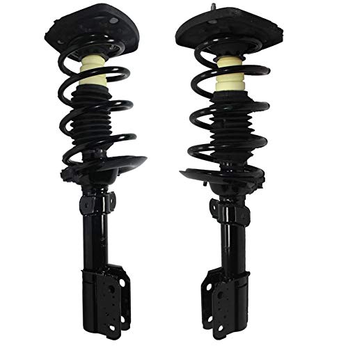 Detroit Axle - Rear Struts Sway Bars Replacement For Buick Century Regal Pontiac Grand Prix (Excludes 18" Wheel Models) - 4Pc Coil Springs Suspension Kit #TOP6