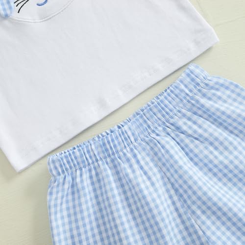 Image of Toddler Baby Boy Easter Rabbit Outfit Short Sleeve Bunny Carrot Smocked T-shirt Elastic Waist Shorts Summer Clothes
