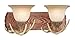 Vaxcel VL33022NS Lodge 2 Light Vanity Light, Noachian Stone Finish