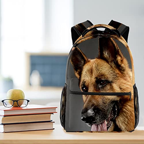 Mochilas ligeras de perro pastor para evitar sobrecarga en viajes 6