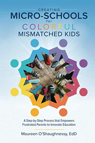 Creating Micro-Schools for Colorful Mismatched Kids: A Step-by-Step Process that Empowers Frustrated Parents to Innovate Education