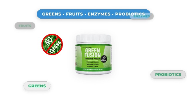 Amazon.com: Green Fusion, Greens Powder Superfood, One Container