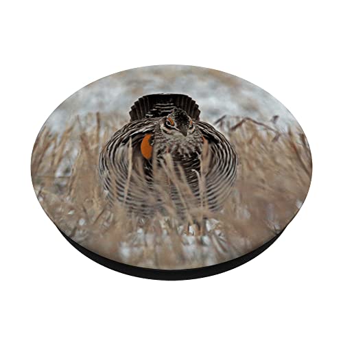 Prairie Chicken PopSockets Swappable PopGrip, Black - Image 2