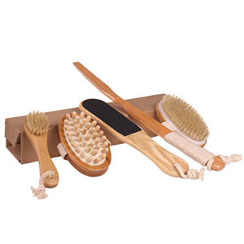 Dry Brushing Body Brush - Stiff Natural Boar Bristle Face/Back/Foot Cactus Skin Brush Scrubber for Exfoliation, Cellulite, Circulation, Drain Lymph Massage in Bath Shower - Long Detachable Handle