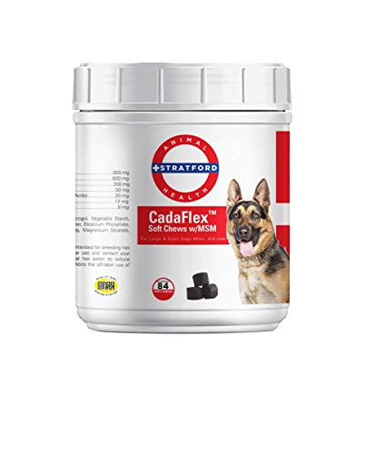 Stratford Pharmaceuticals CadaFlex Soft Chews with MSM - Glucosamine for Dogs - All-Natural Hip & Joint Pain Relief -Glucosamine Chondroitin Dogs Treats - Large Dogs - 84 Soft Chews