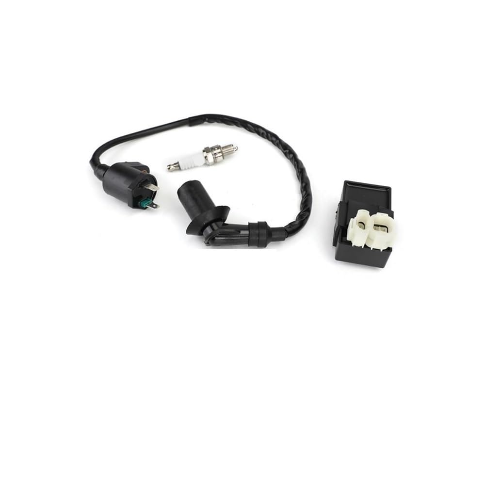 Bobine d'allumage magneto 6 broches de rechange pour stators TRX350 TRX300 XL250