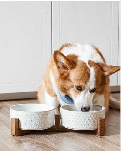 Dog Bowls Ceramic for Small Medium Dogs - 3-Cup Dual Food & Water Bowl Set with Acacia Wood Stand, Non-Slip Anti-Tip Elevated Design