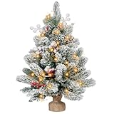 2FT Small Christmas Tree,Flocked Artificial Mini Christmas Tree with Lights,Tabletop Xmas Tree with Ornaments,Christmas Decoration for Party by DNKMOR