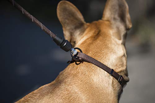 GOLEYGO Hundeleine Rope, Schwarz, Reflektiert leuchtend, Größe M 1,4-2m, Sicherer Magnetverschluss, Inkl. Adapter-Pin, Hundeleine für kleine & große Hunde bis 60kg, Maximale Belastung 200kg