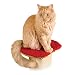 SmartCat Perch for The Ultimate Scratching Post