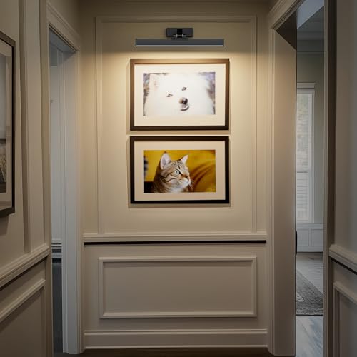 Afyuol Picture Lights Wall Light 16in CCT Gallery Light | Battery Operated, Timer, Remote Control, Adjustable Brightness, Long Lasting, for Wall, for Paintings, for Living Room, Art, Dartboard, Decor