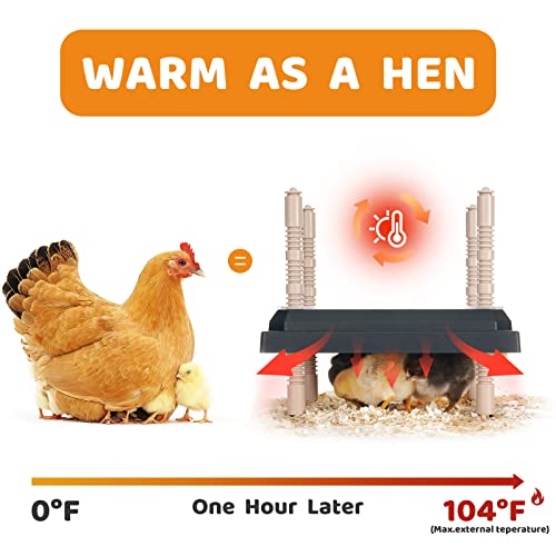 DDSNTY Bruttenheizung, für Küken, 25, 4 cm, Schwarz-2