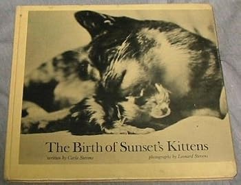 Hardcover The birth of Sunset's kittens Book