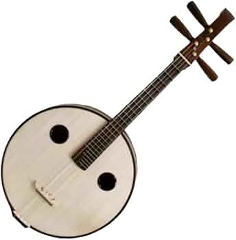 中国民族楽器 江音 紅木 小阮 ルアン 41DYcjfLF0L._AC_UF350,