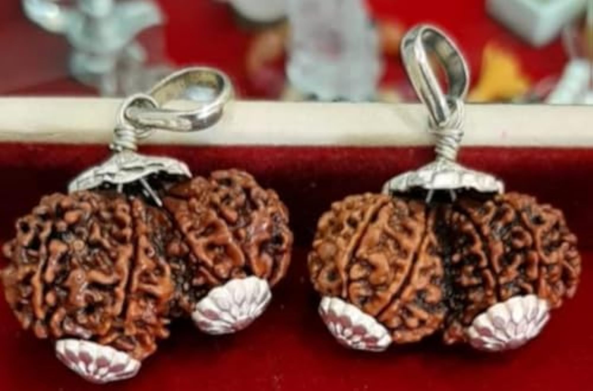 Gauri Shankar Rudraksha Big Size Certified Pendant, Spiritual Blessing