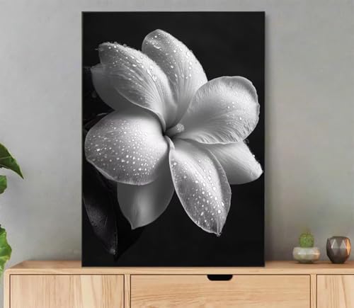 LUDANUJP G  yCgoCio[ A DIY hG |pi Lbg l q S Paint by Numbers |LbgMƃANG̋ K ItBX Ƃ̕ǂ̑ ւ̑蕨 60x80 cm 
