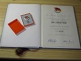  Urkunde DSF Ehrennadel in Silber 1982 inkl. Abzeichen