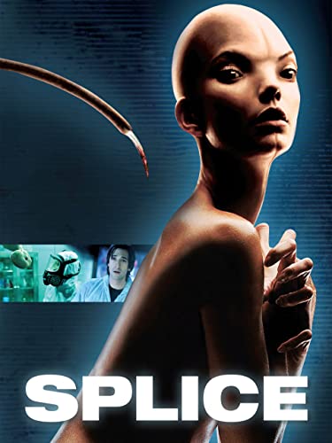 Splice