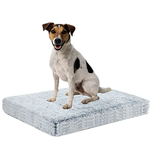 Camas Perros Medianos Desenfundable Marca BingoPaw