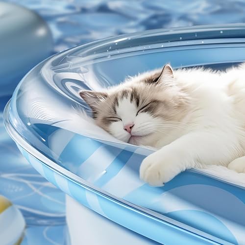 Generisch Neue Verdickung Wassermatte Katzen Kratzfest, Katzen Wassermatte, Katzenpool, Katzen Kühlmatte Katze mit Eine Fahrradpumpe, Haustiere Kühl Halten, Interaktives Spielzeug (B, 64 * 50 cm)
