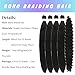 Black Braiding Hair Pre Stretched for Boho Braids Synthetic Hypoallergenic Boho Hair for Braiding Prestretched EZ Braid Hair Extensions for Knotless Box Braids (Total 5 Packs)