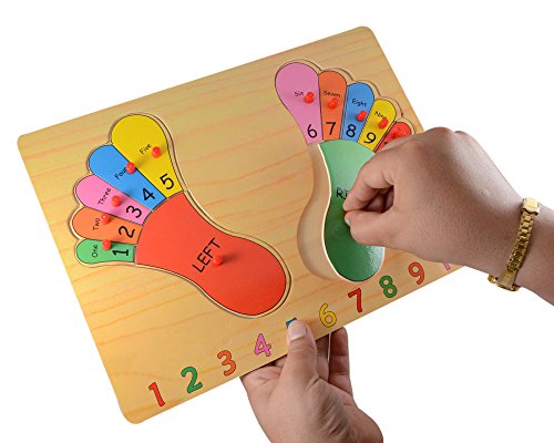 Image of Foot Premium Wooden Puzzle /Educational Toy with Knobs for Children