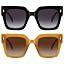 (2151)2pcs Black + Brown