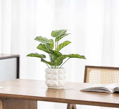 Arktiva Ceramic Planter Pot with Drainage Hole, 4.5 Inch Dia, Indoor and Outdoor, Home Patio Garden, Plants Flower Succulent, 3D Patterned Round (White)