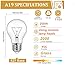 200W Incandescent Light Bulbs,A21 Bulb Dimmable Medium E26 Base Light Bulbs,A19 Incandescent Light Bulb,2700K Warm White, for Fridge, Range Hood, Sewing Machine, Freezer Ceiling Fan, Fireplace (2)