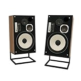 Handmade Steel Speaker Stand | Form Padded | tilt Angel