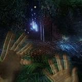  Floresta [Explicit]